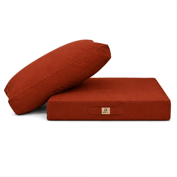 Conjunto de Cojines para Salón de Jardín 60x70 Terracota - Con Funda Extraíble & Anti-UV (Asiento + Respaldo)