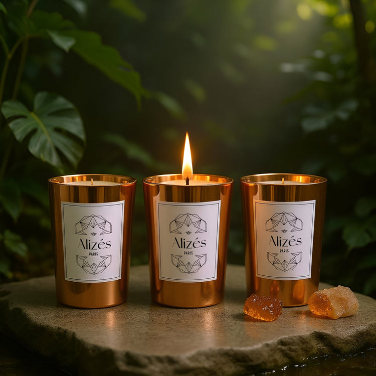 Nuevos productos