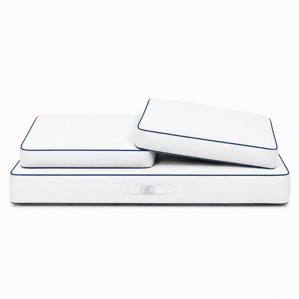 Ensemble Coussins Premium 100x50 Blanc - 1 Assise + 2 Dossiers (Épais 12cm & Passepoil)