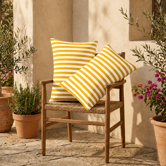 Lot de 2 Coussins d&