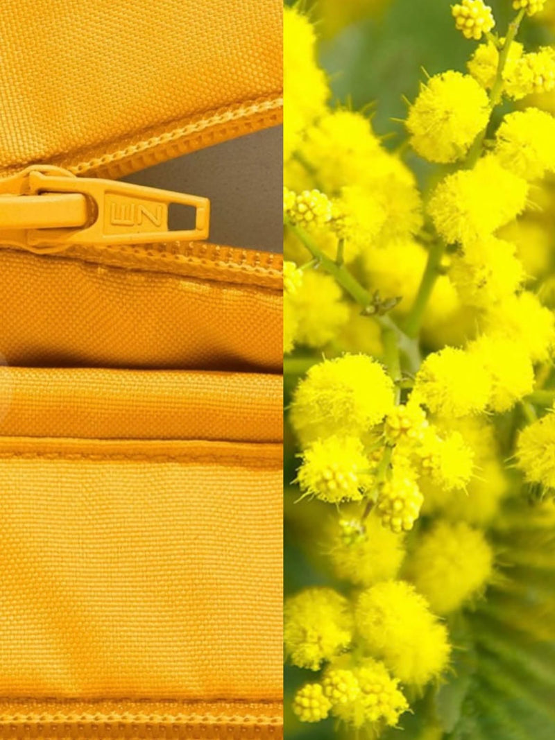 La nature nous a tout appris — couleurs DécoArts — 3